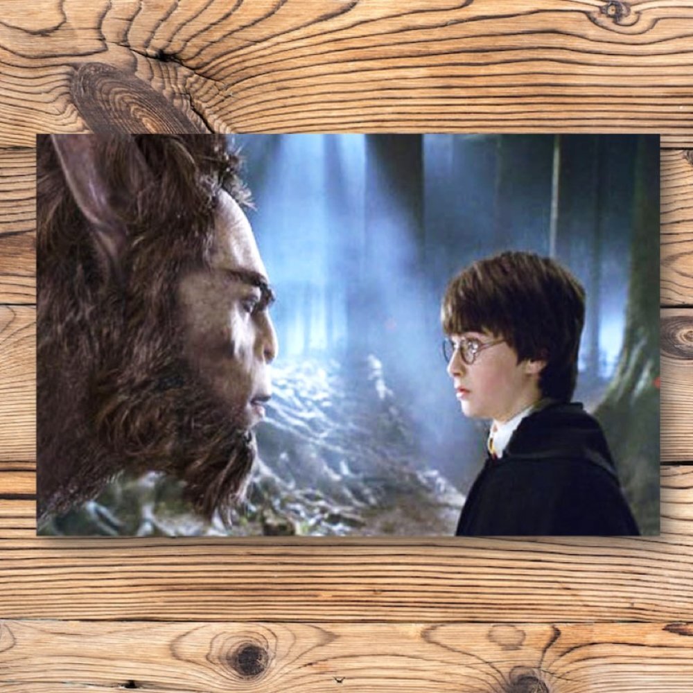 Harry Potter And Centaur Refrigerator Locker Fridge Magnet
